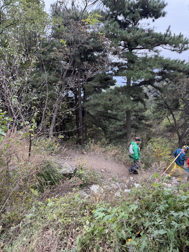 40D8FBB8-DE9B-43F0-A90B-BF9415EE21AA_1_105_c