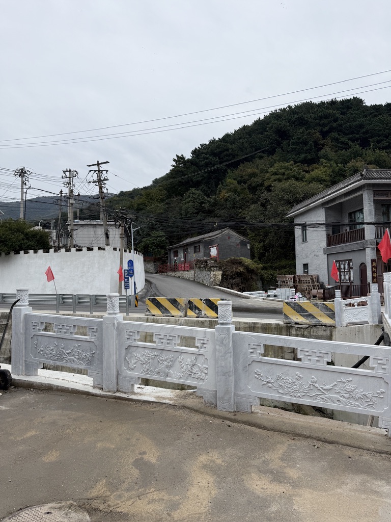 F7F8D84F-51B8-478C-8B42-8A674A0D5A46_1_105_c