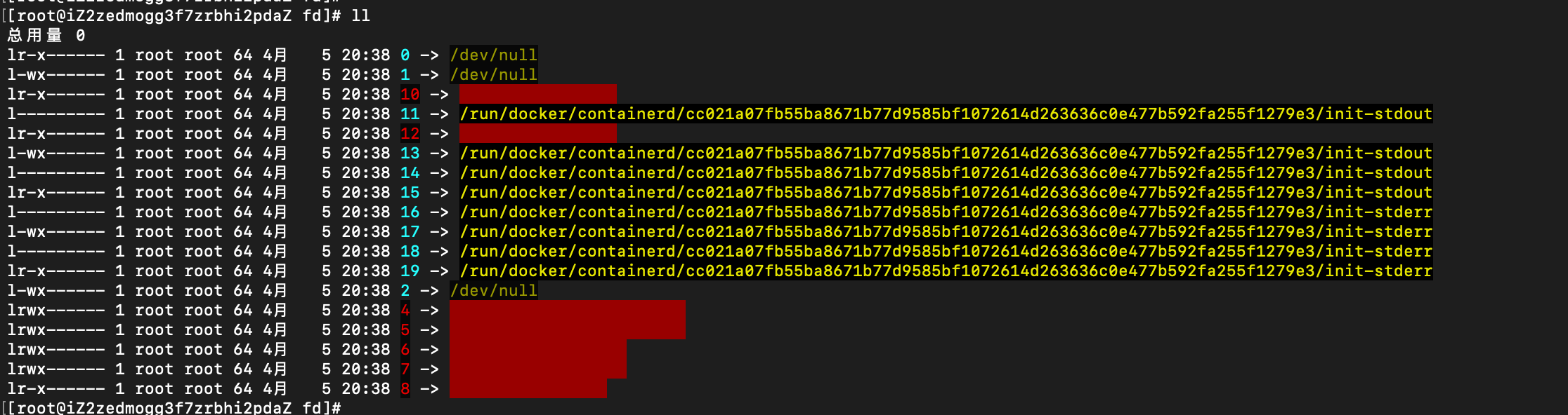 image-20220405205816813