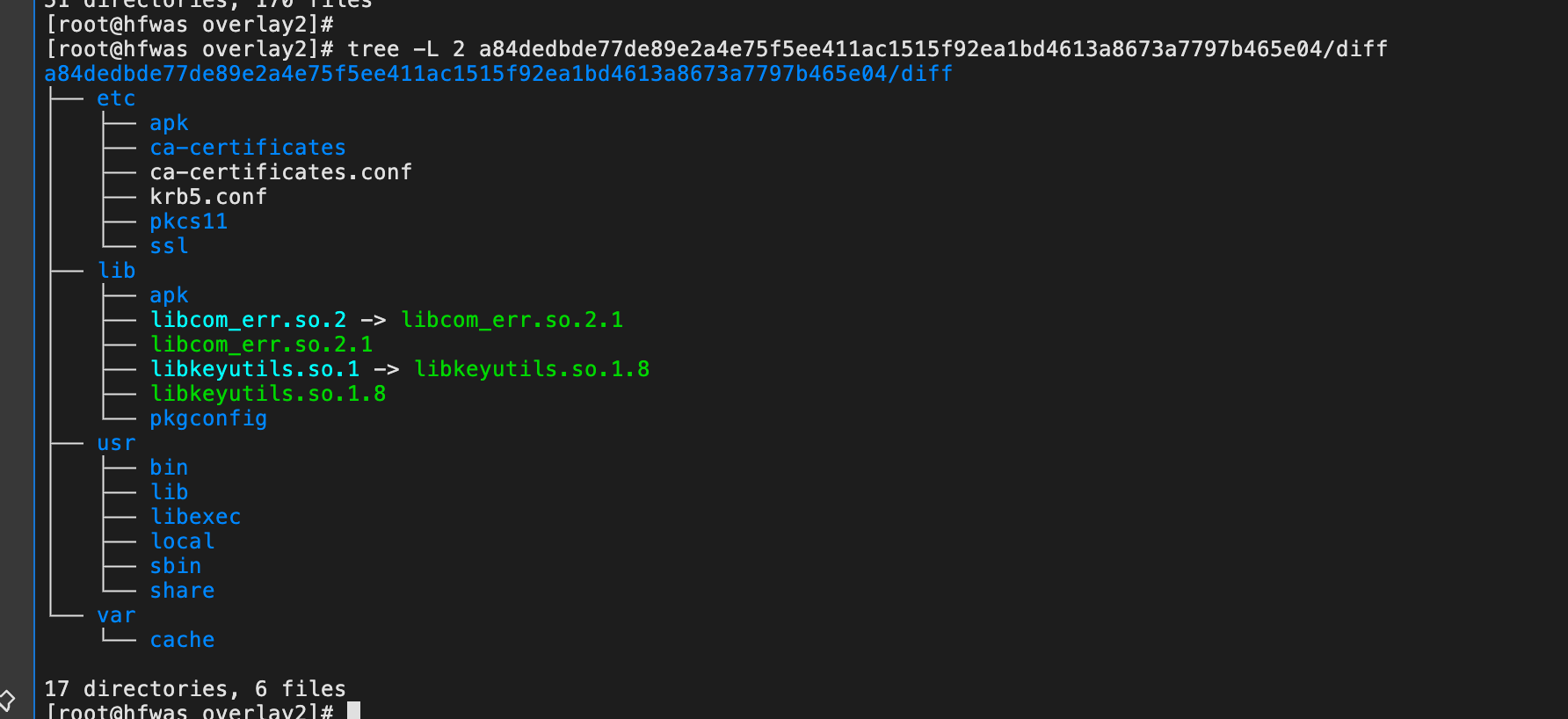 image-20220711234547367