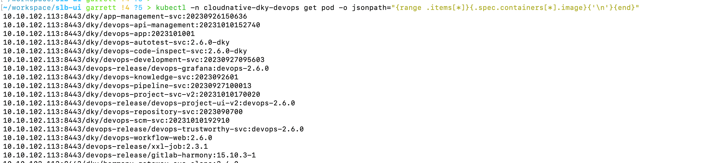 image-20231010221334287