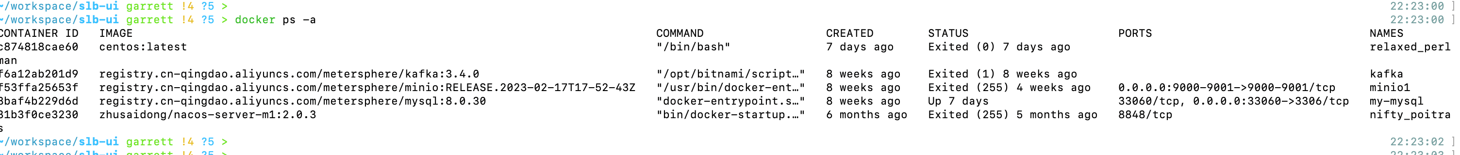 image-20231010222311618