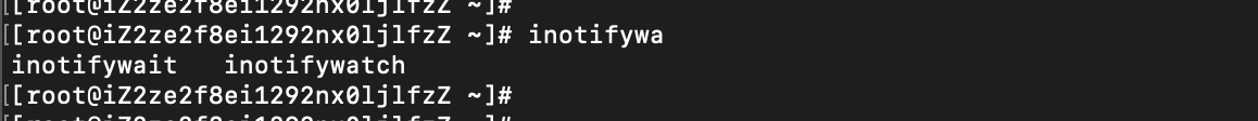 image-20240415233900965