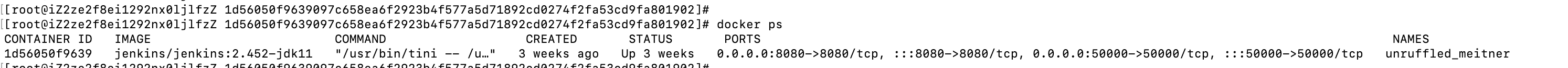 image-20240525130911851